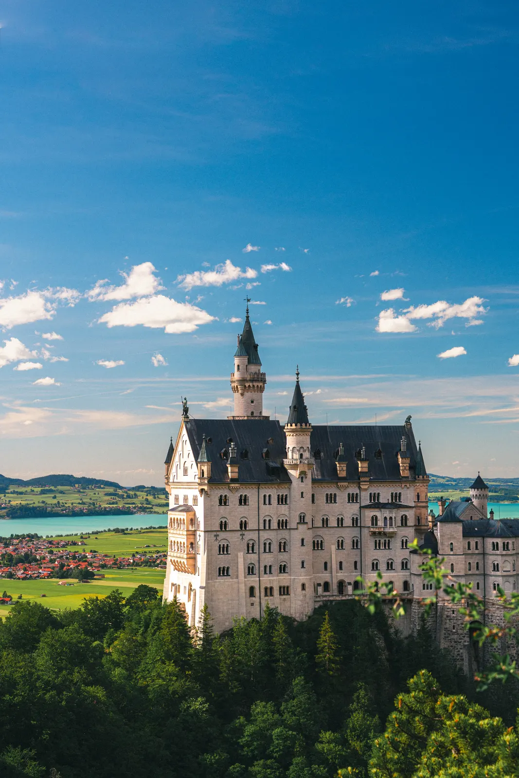 Neuschwanstein Castle above the forest